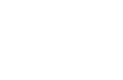 Wagkomer